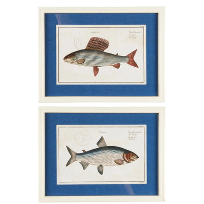Ib Laursen Fisch Bild im Holzrahmen 40 x 30 cm – maritime Wanddeko 2 Designs