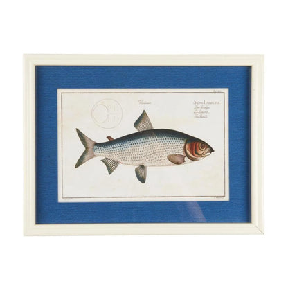 Ib Laursen Fisch Bild im Holzrahmen 40 x 30 cm – maritime Wanddeko 2 Designs